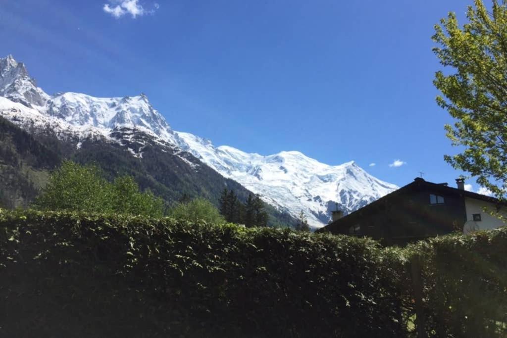 Studio Au Calme Avec Jardin Et Vue Mont-Blanc Chamonix Exterior foto